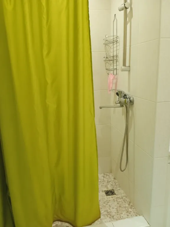 Евродвушка в центре около Волги