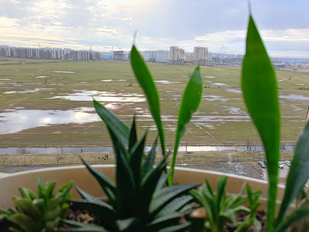 Студия с видом на закат