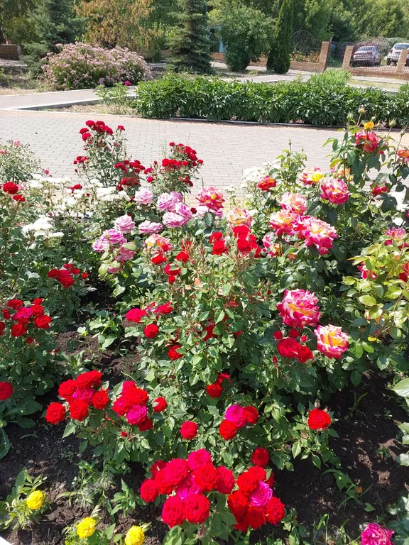 Просторная студия 1 на берегу Волги