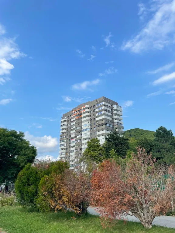 Квартира с чудесным видом на горы