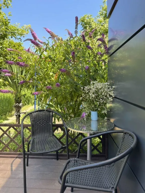 Коттедж Уютный дом в СТ Ветеран — Пляхо