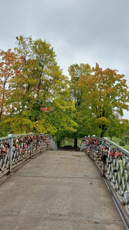 Уютная студия в центре города