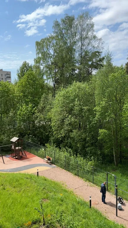 Уютная студия в лесной зоне