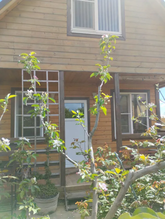 Тихое, спокойное место