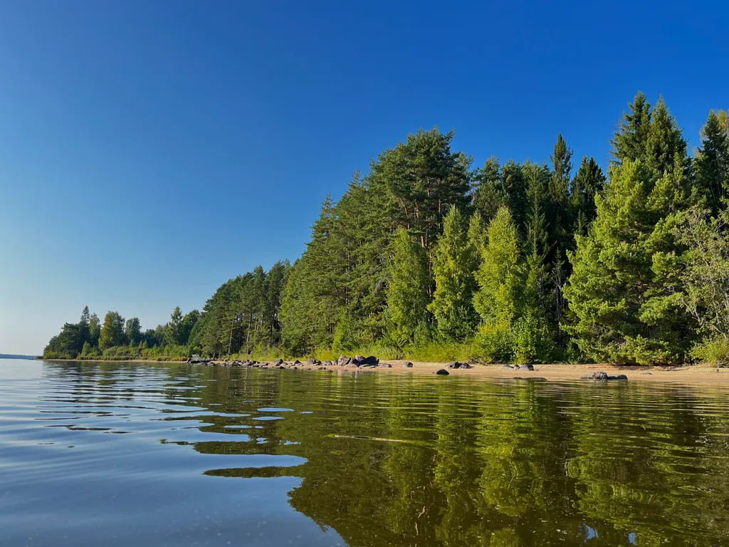 Коттедж Уютный домик на озере Волго на Селигере в сосновом бору — Турбаза Чайка
