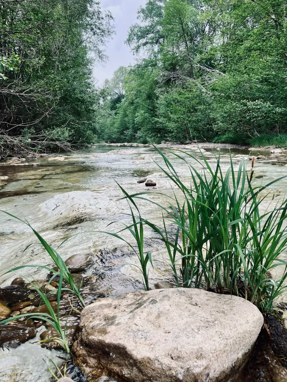 Дом с видом на лес рядом с горной рекой