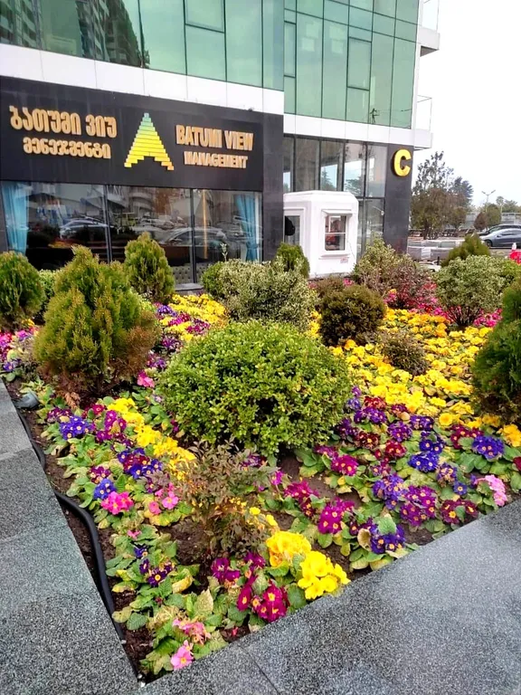 Sea Batumi View | 20m to Beach & Park
Панорама Моря & Приморский Парк