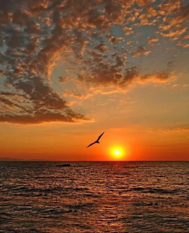 Квартира Апартаменты с видом на море — Севастополь