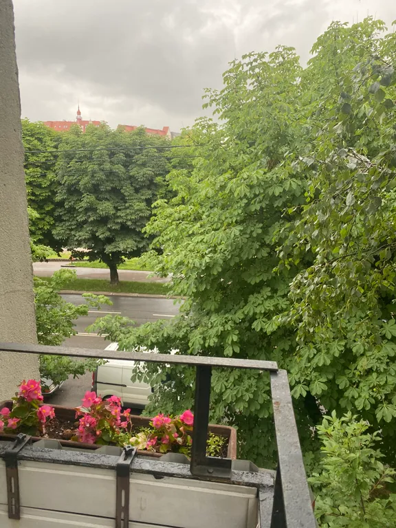 Комната в квартире в центре