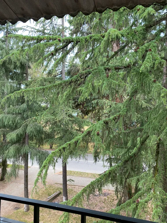 Квартира Квартира на берегу моря — Сухум