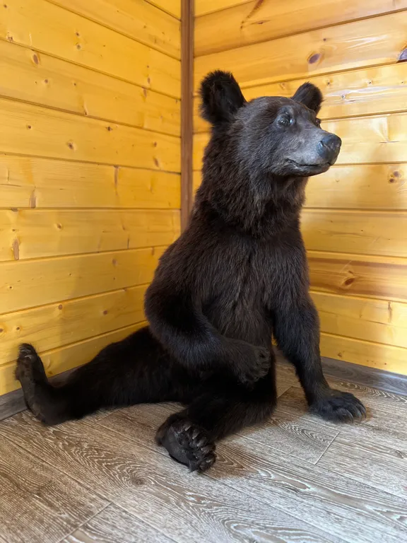 Дом на берегу речки