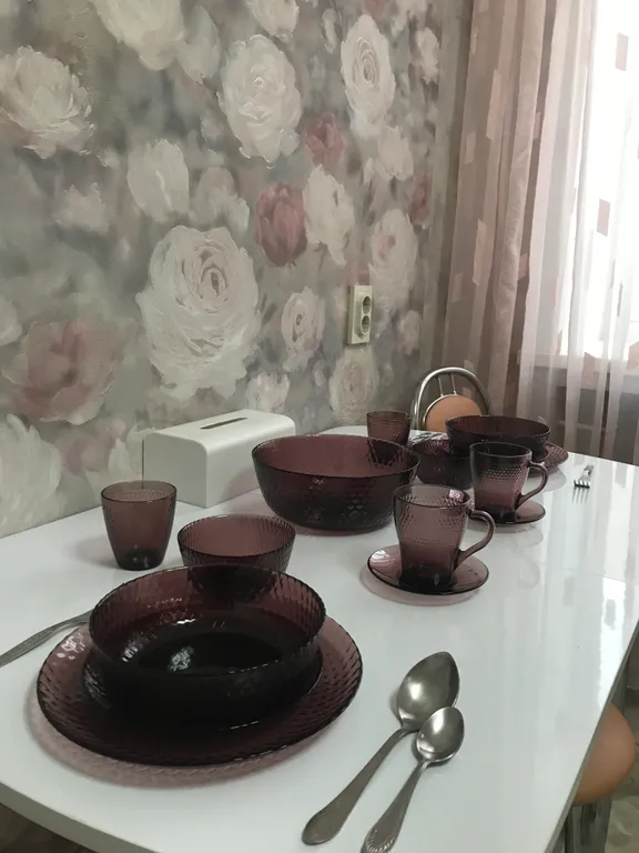 Однокомнатная квартира с окнами на парк Землячки рядом цирк, УДС Молот