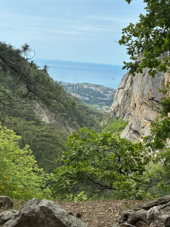 SPA-дом в Ялте. Бассейн круглый год, сауна, 10 соток рая+треккинг.