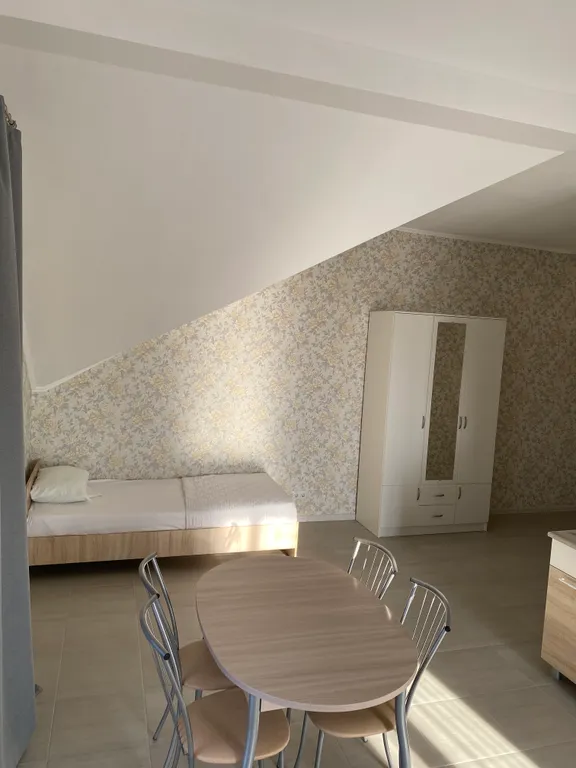 Студия на 4-х с кухней, балконом