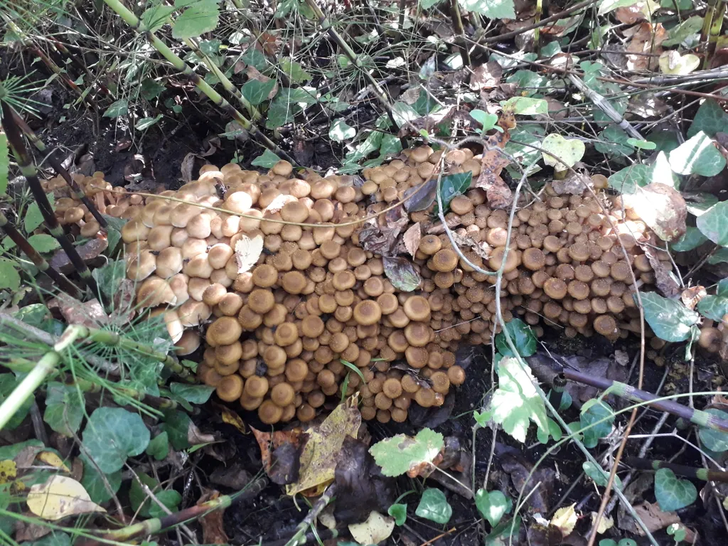 Дом возле моря