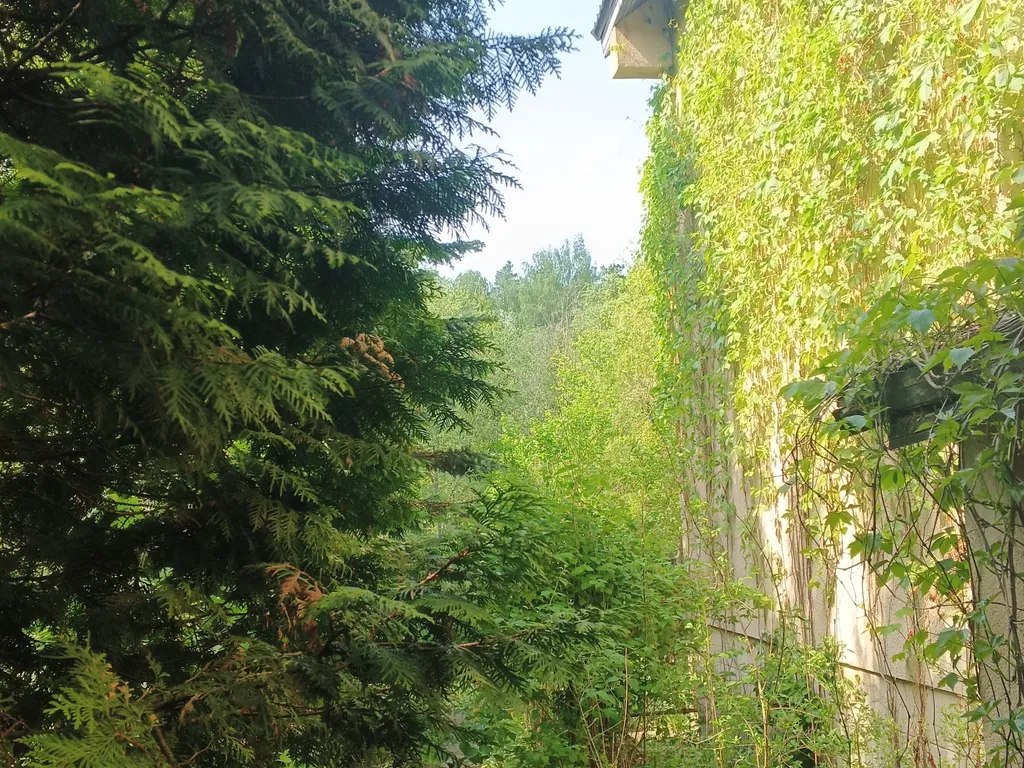 Дзен-апартаменты