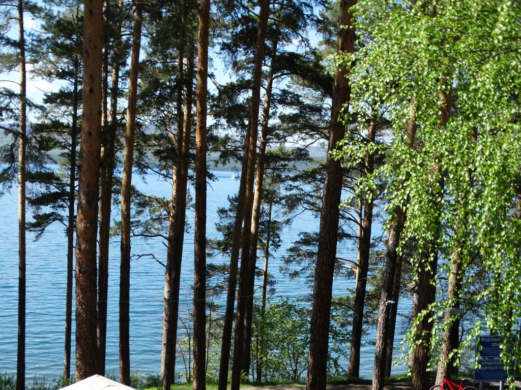 Апартамент на берегу озера Тургояк