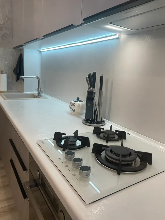 Квартира с домашней обстановкой