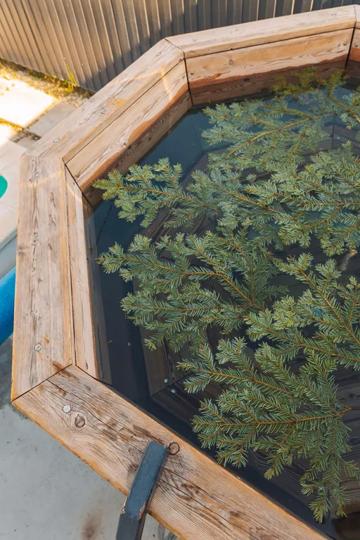 Гостевой дом с бассейном