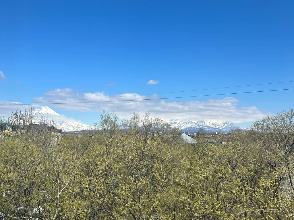 Апартаменты Созвездие Камчатки на красной линии с видом на вулканы