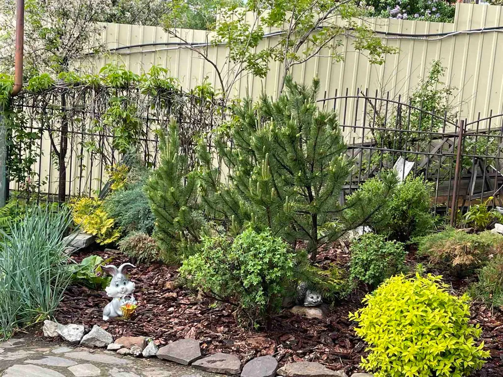 Тургоякский Теремок- дом на 1 линии с собственным выходом к озеру