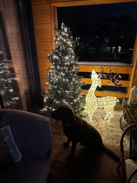 Домик близ Сорочан