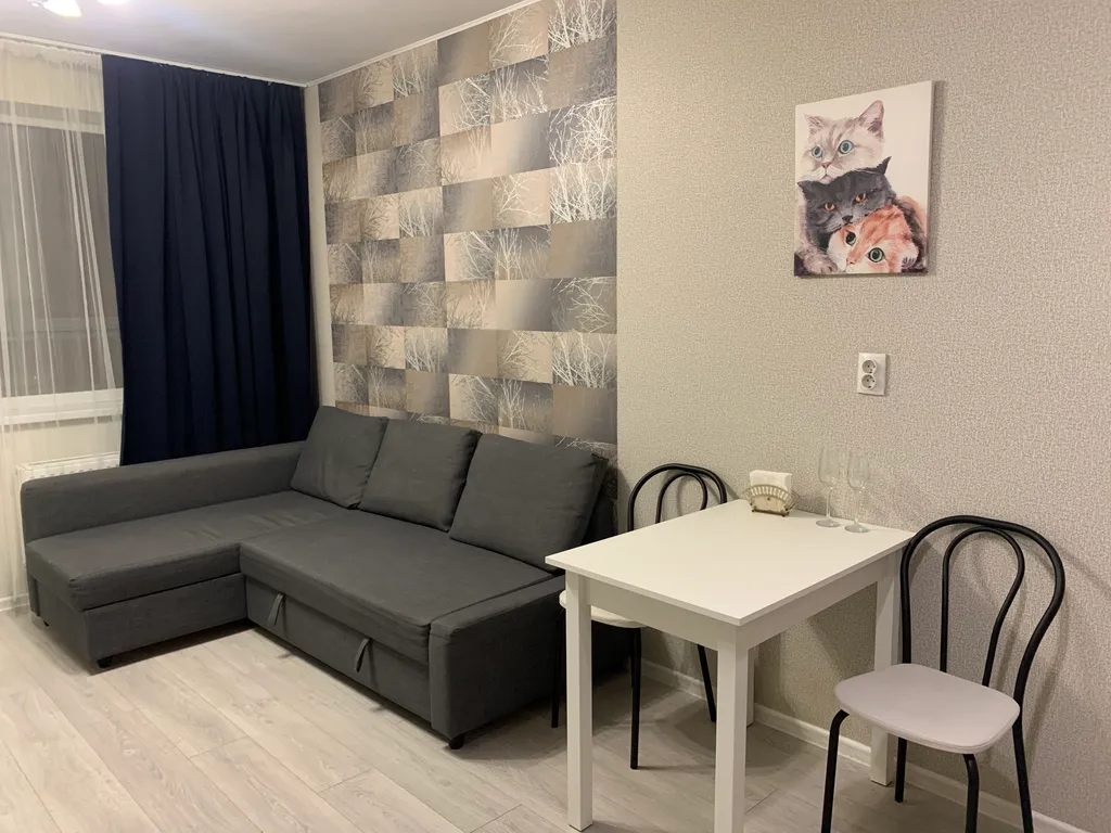 Квартира Студия у метро Девяткино — аренда посуточно в Мурино