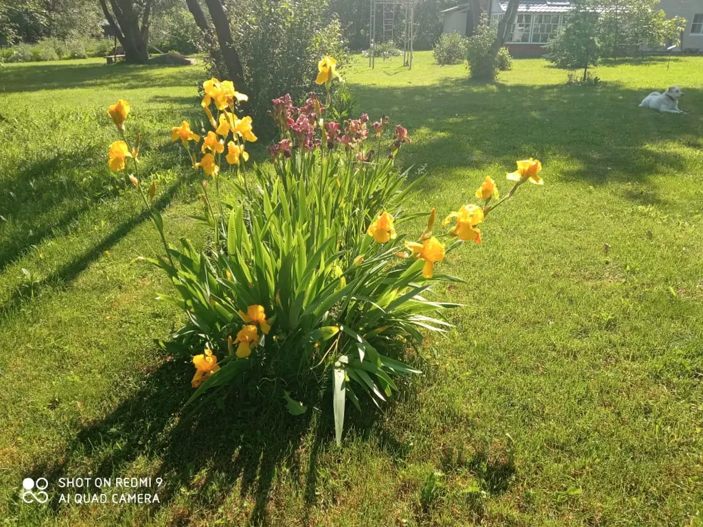 Красивый дом в деревне