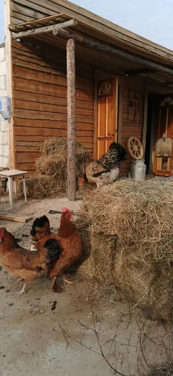 Дом на берегу моря