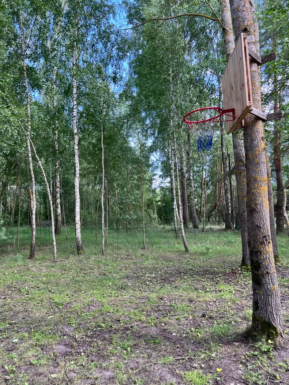 Деревянный дом в лесу рядом с рекой