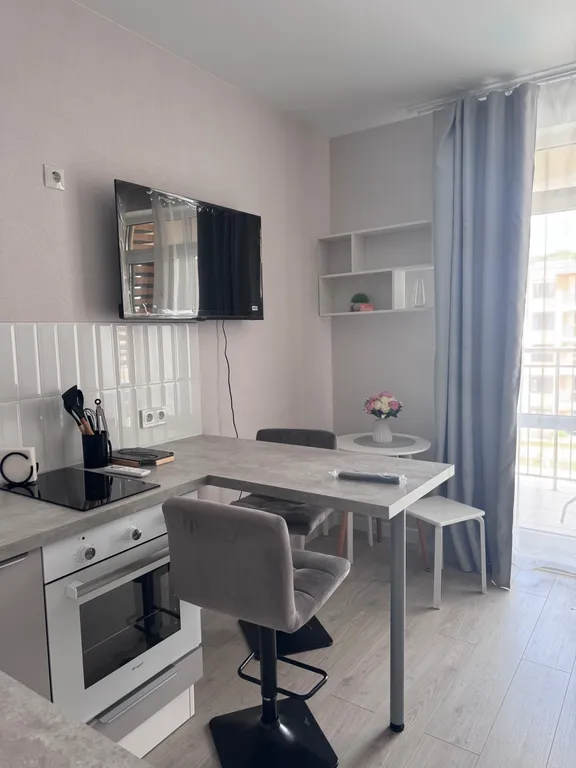 Видовая студия с посудомоечной машиной и духовкой