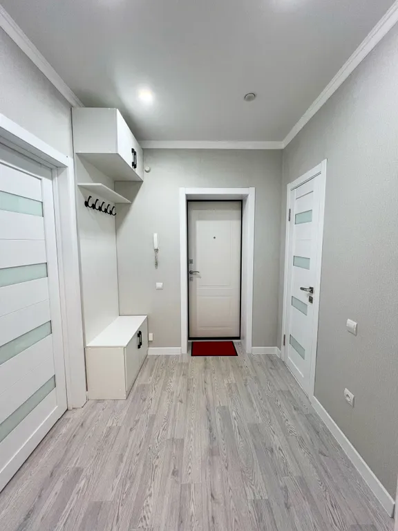 1-комнатная квартира с проектором