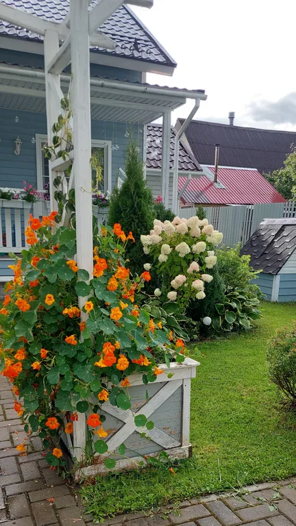 Загородный дом, коттедж для отдыха