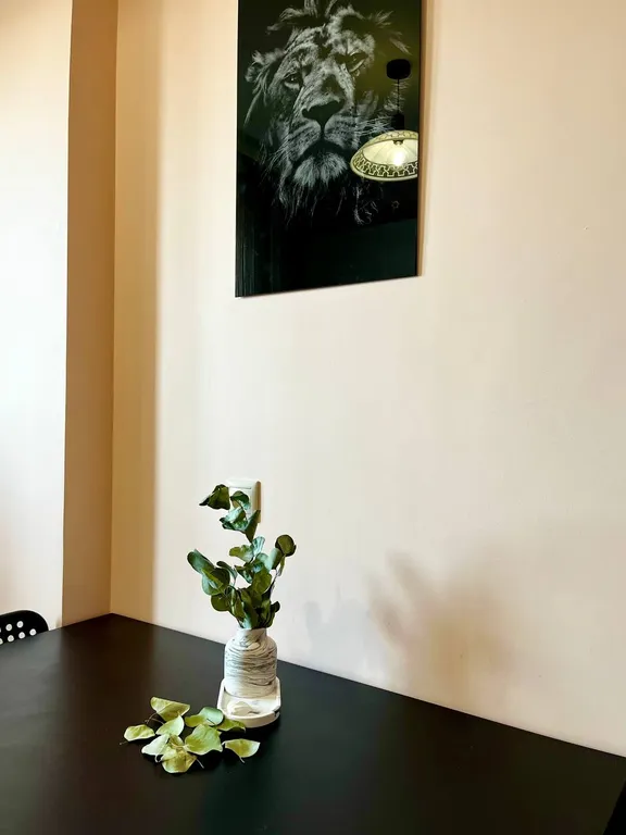 Прекрасные апартаменты для  гостей