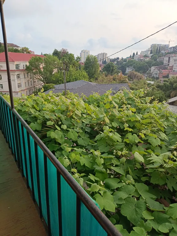 Квартира Комната — Сочи