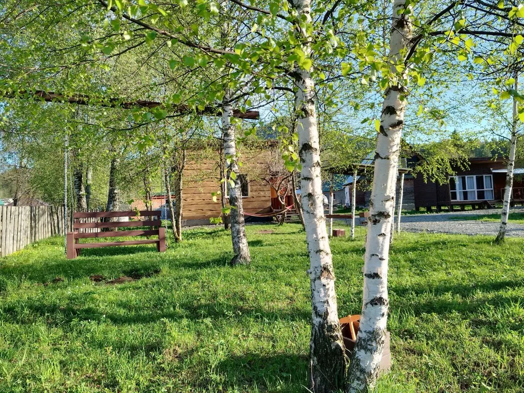 Отдых Телецкое