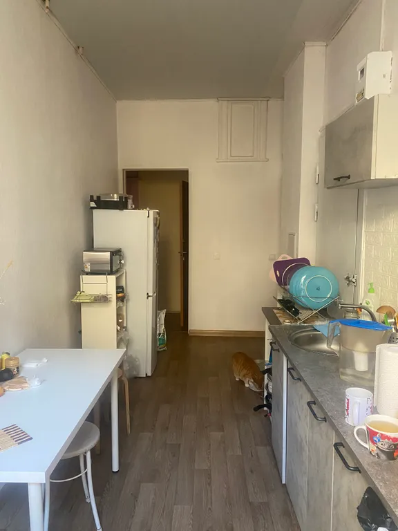 Дешево и сердито