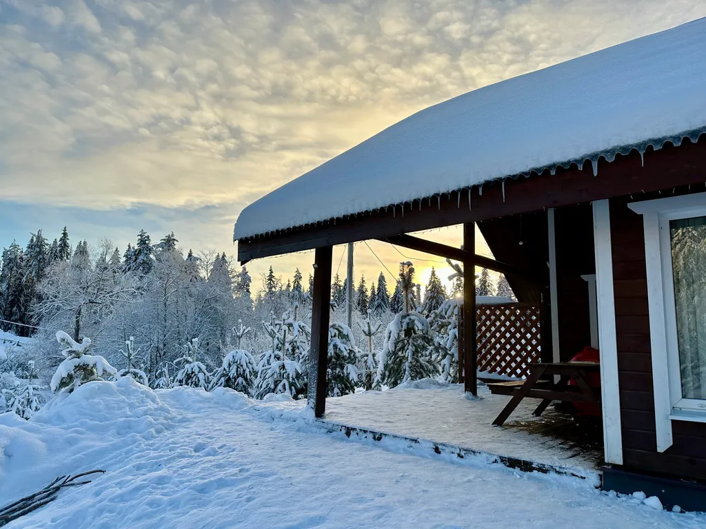 Коттедж с 3 спальнями, сауной, с видом на лес