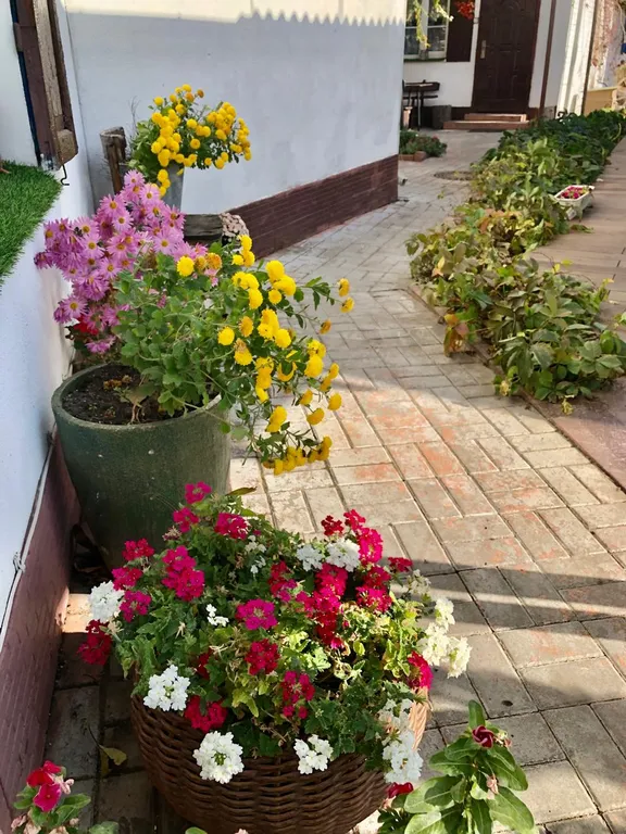 Ростов казачий