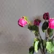 Мария