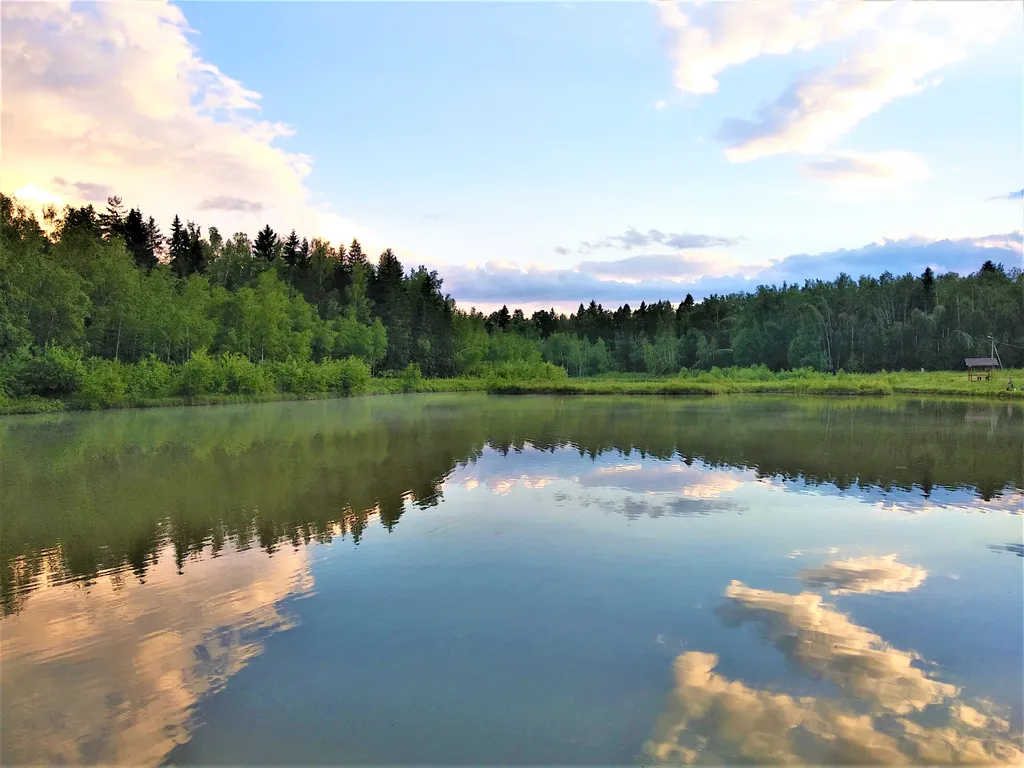 Коттедж Васнецово-озеро, дом на берегу озера у леса в Подоосковье — Ваньково