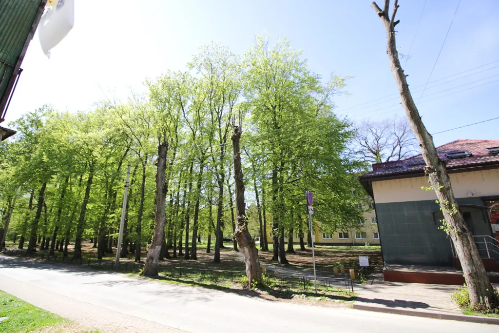 Апартаменты Сильвер