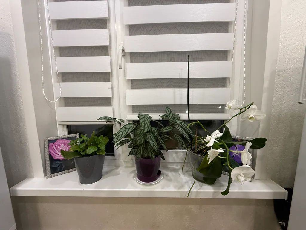 Комната в Карибском стиле в трехкомнатной квартире