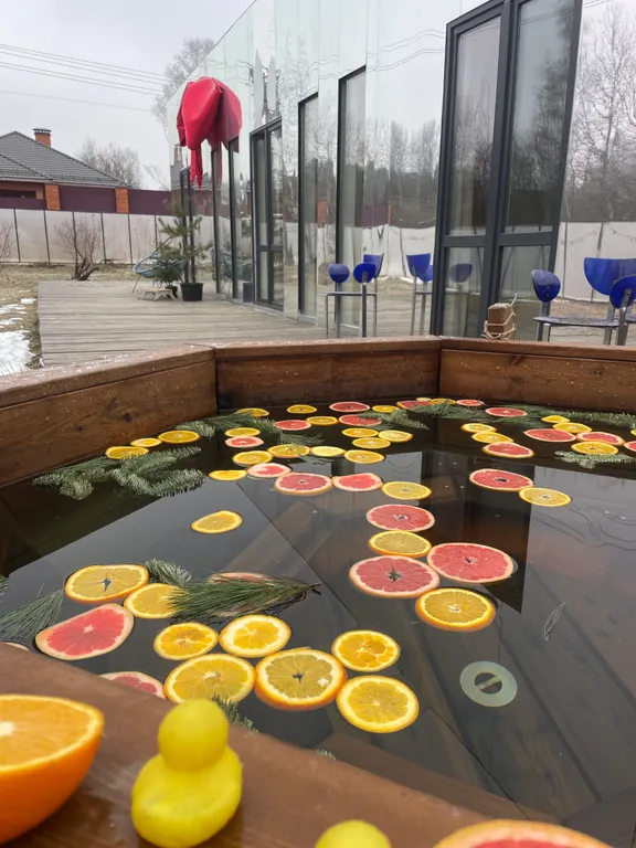 Зеркальный дом в аренду подмосковье