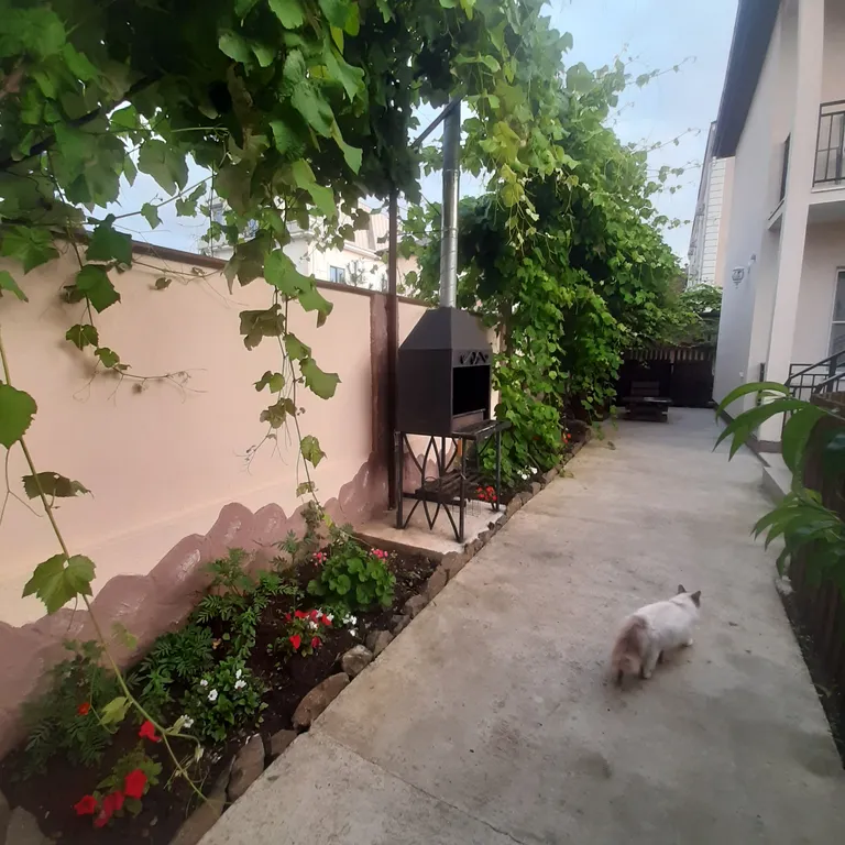 Квартира 1-комнатная Квартира — Сириус