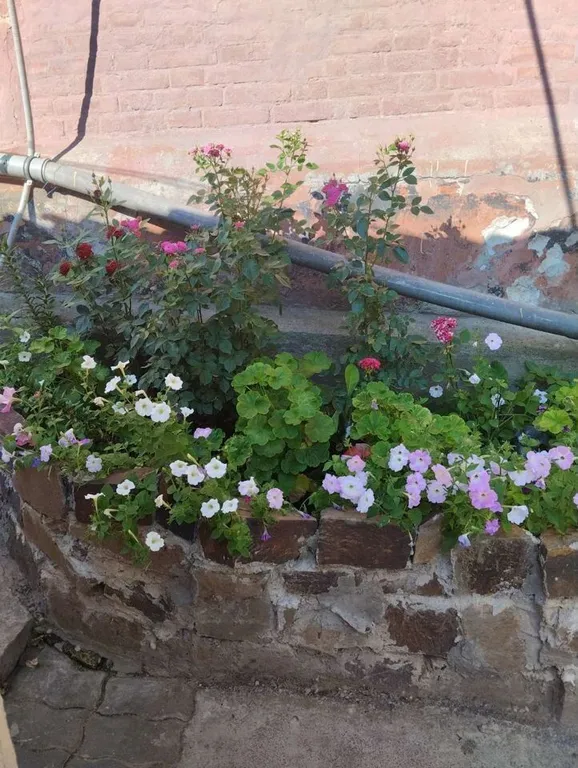 Дом под ключ возле моря