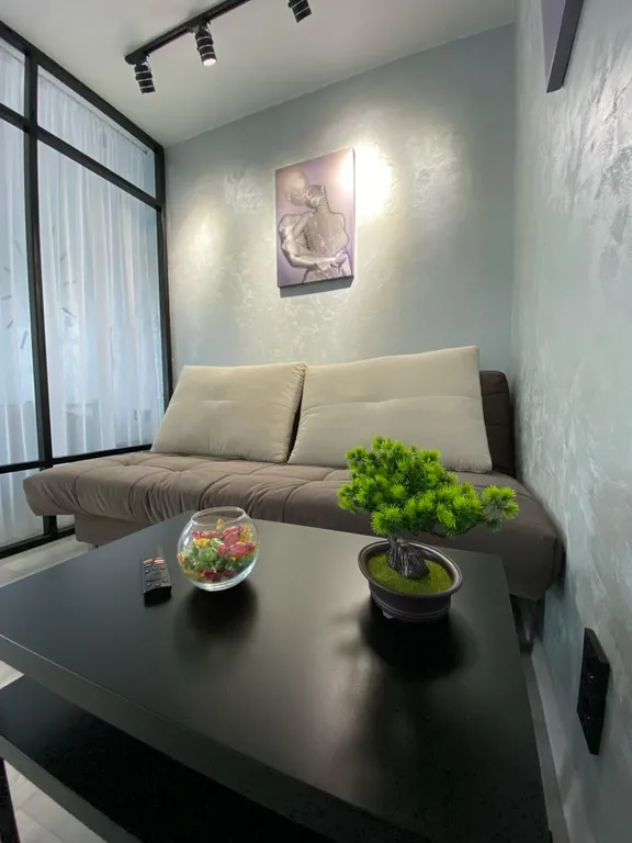 Просторный и современный дом в центре города