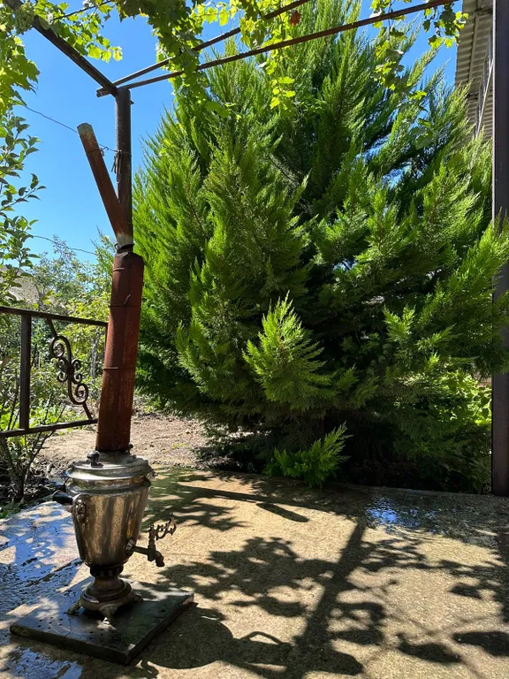 Райский сад для отдыха