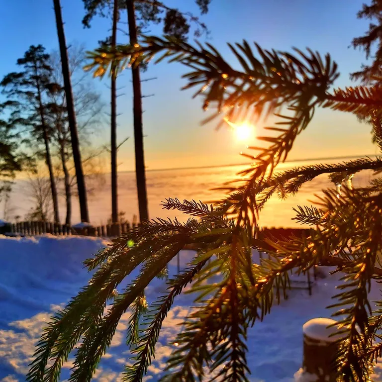 Дом Изумитель 1