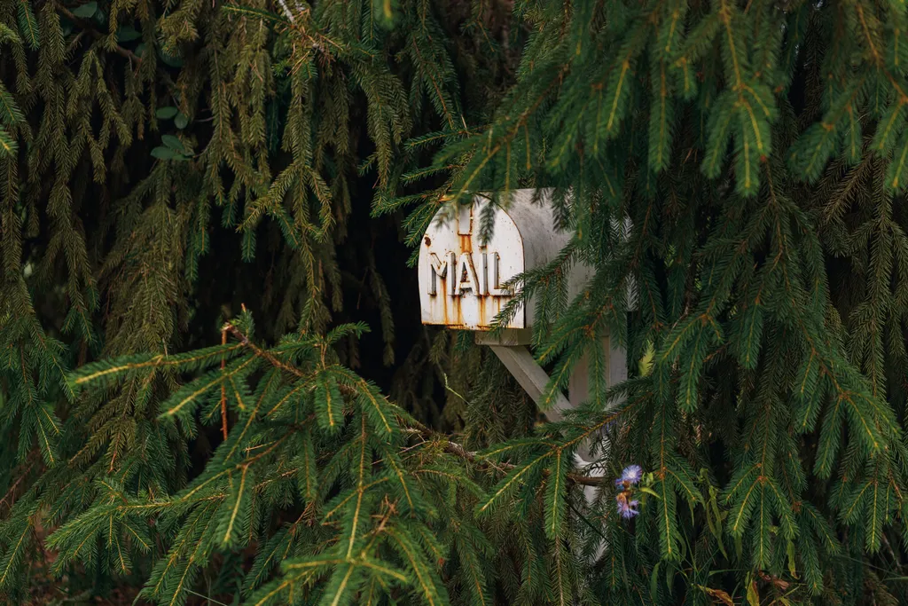 Коттедж #3 | Белкины апартаменты